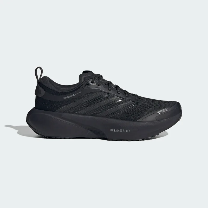 adidas W Supernova Rise 3 Gtx Running Shoes (9000280227_94811)