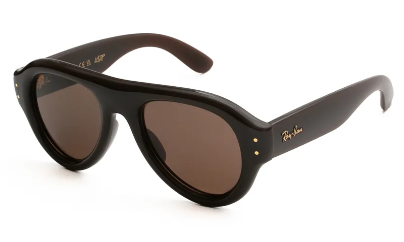 RAY BAN ΓΥΑΛΙΑ ΗΛΙΟΥ RAY BAN 4925 689673 5221 4925 Καφέ