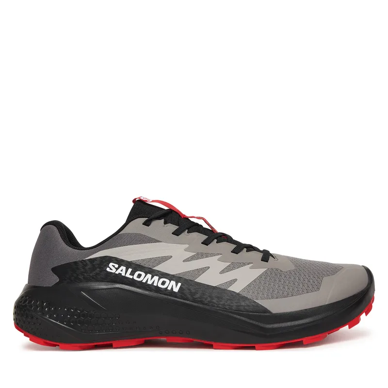 Παπούτσια για Τρέξιμο Salomon Alphaglide L48000800 Γκρι