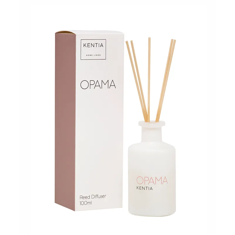 Αρωματικό Χώρου Με Στικς Kentia Οραμα Diffuser Diamond Snow