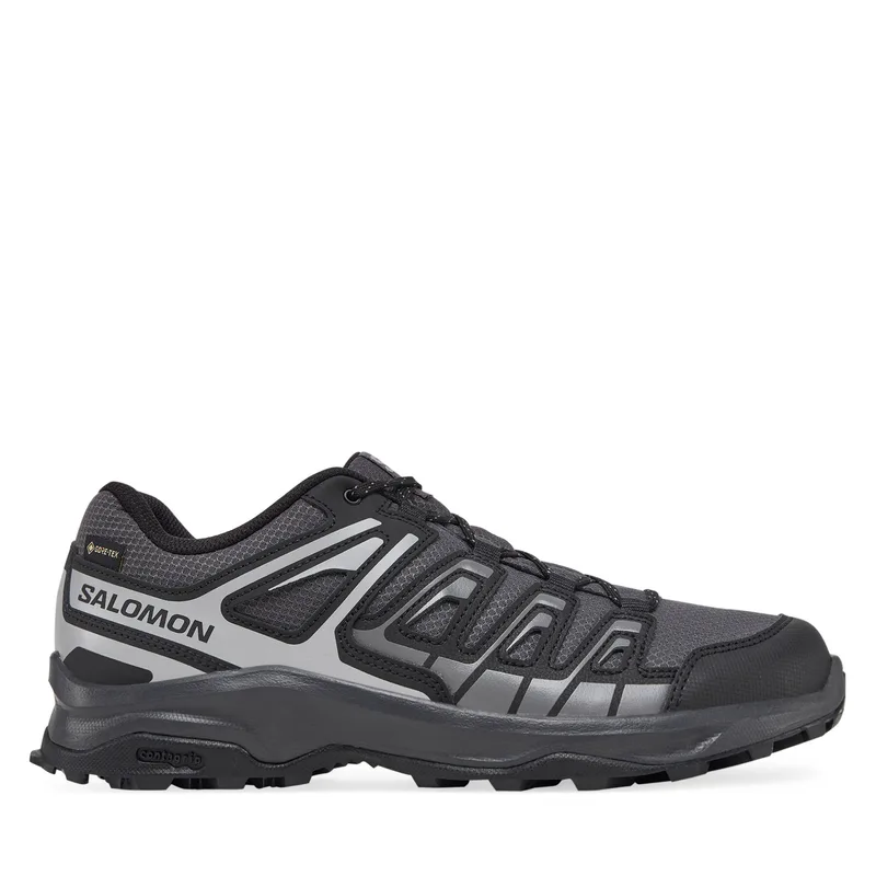 Παπούτσια πεζοπορίας Salomon Extegra Gore-Tex L47768800 Γκρι