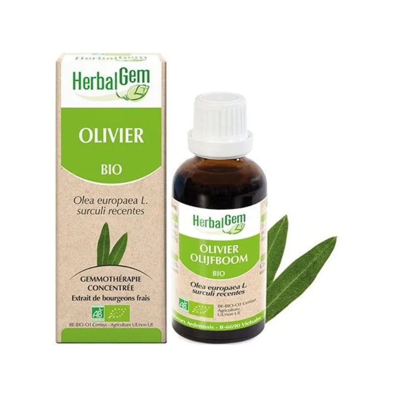 Herbalgem Olivier Bio 30ml