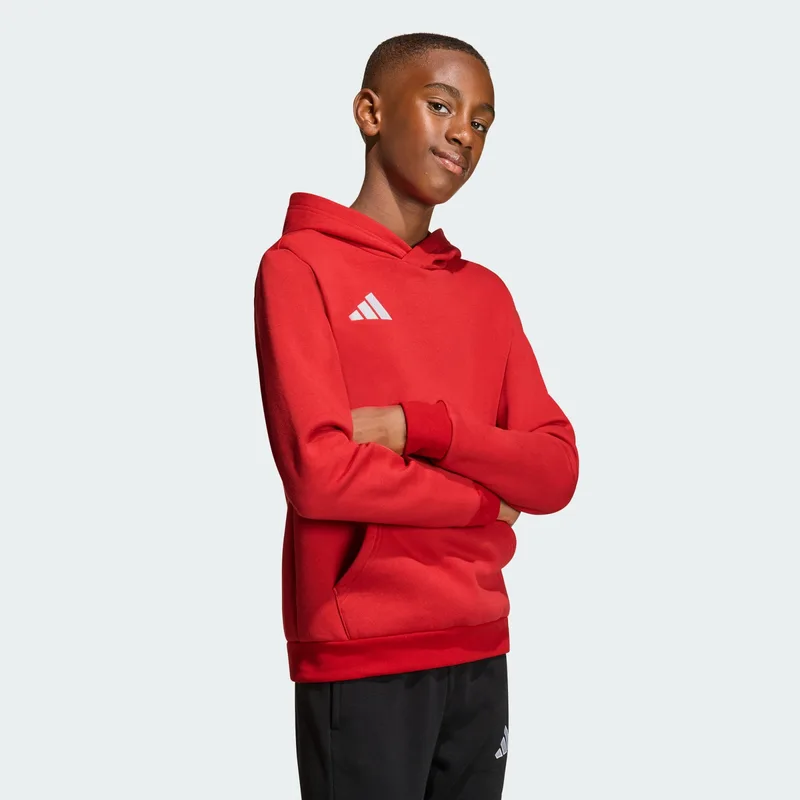 adidas K Entrada26 Hoodie Kids (9000277544_63009)
