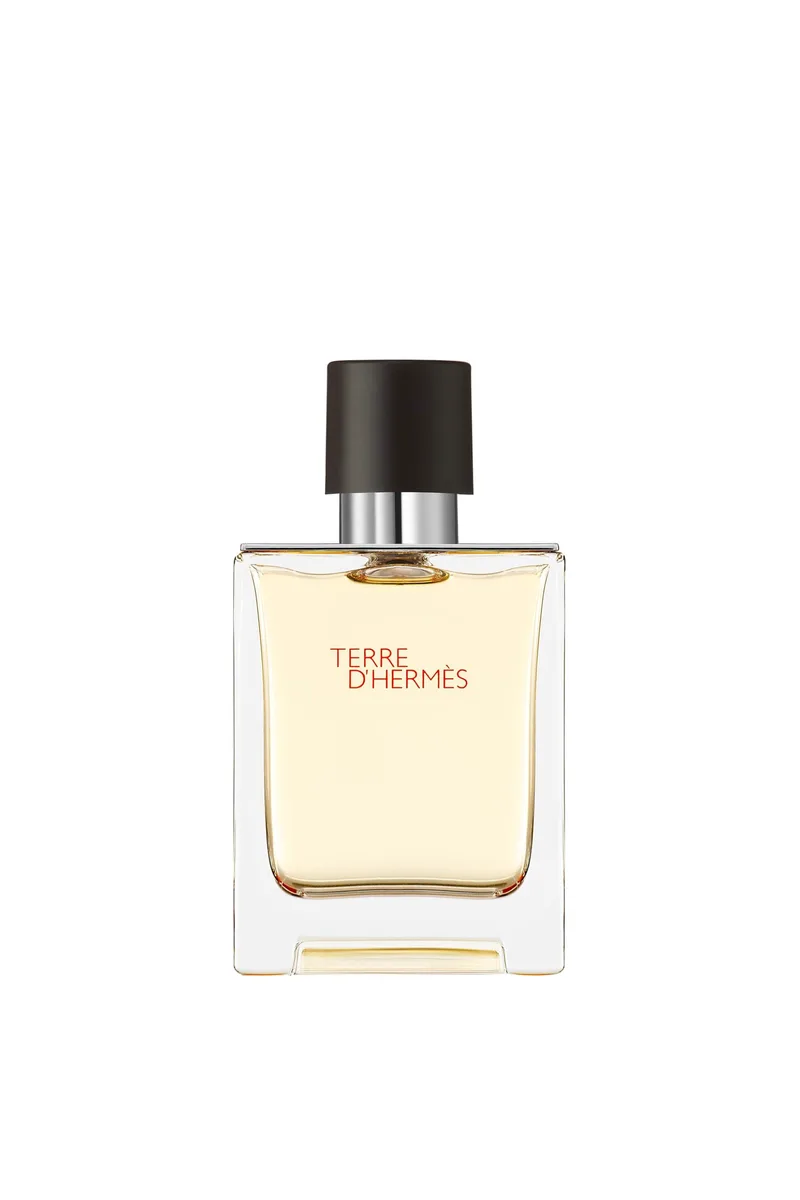 Hermès Terre d'Hermès Eau de Toilette - 107189V0
