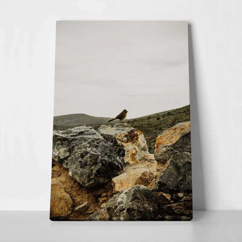 Πίνακας σε Καμβά RUSTIC FARMHOUSE BIRD