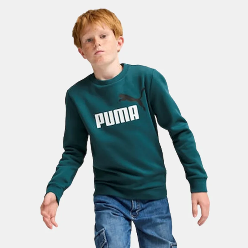 Puma Essential Παιδικό Φούτερ (9000193581_79485)