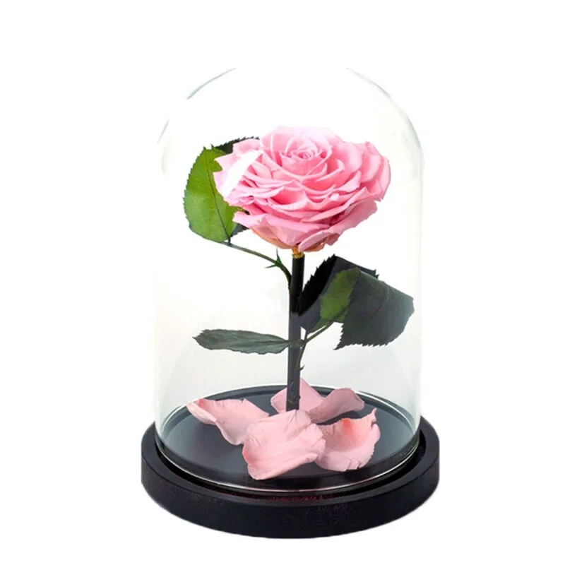 Beauty & The Beast Ροζ Deluxe 18x25cm