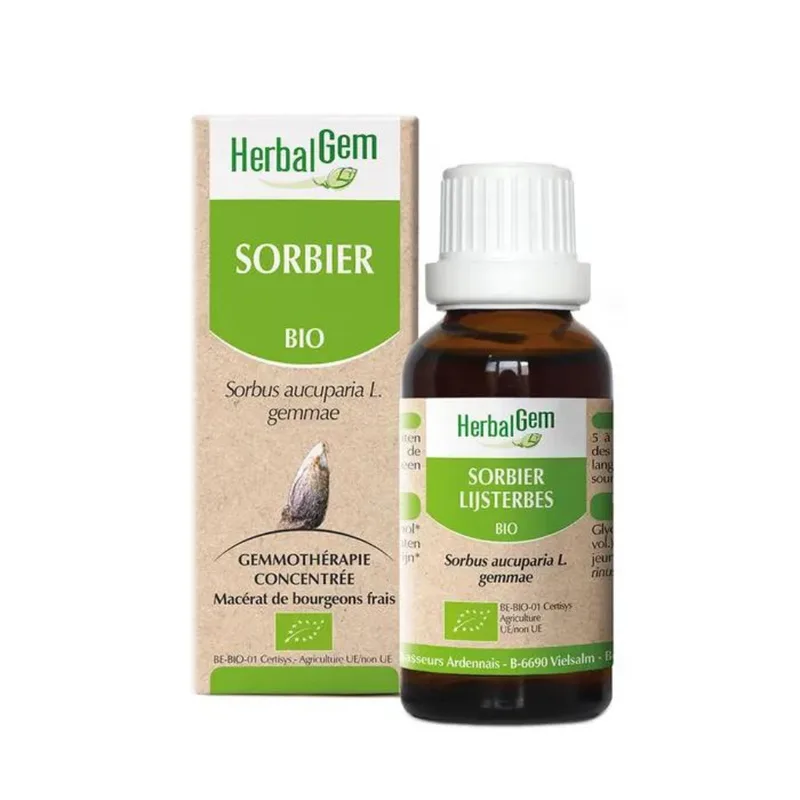Organic rowan Herbalgem 30ml