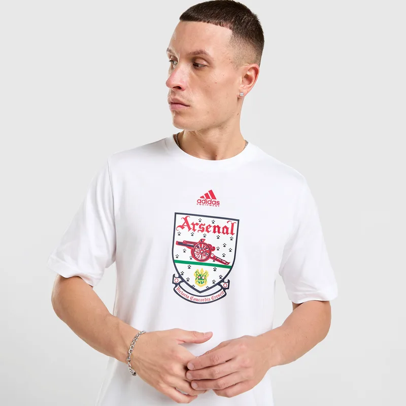 adidas Afc Tee 92-94 (9000236936_1539)