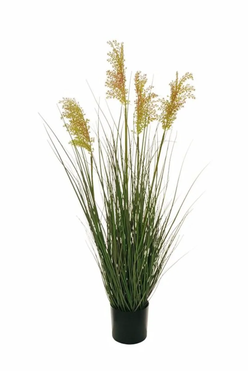 Γρασιδι Sorghum 94Cm 0x0x94cm Μονόχρωμο Evergreens