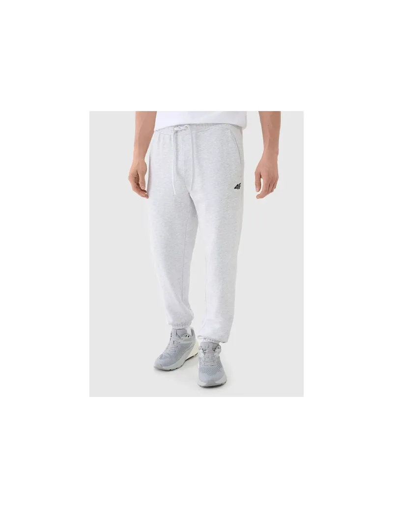 Men's jogger sweatpants 4F 4FWMM00TTROM113927M