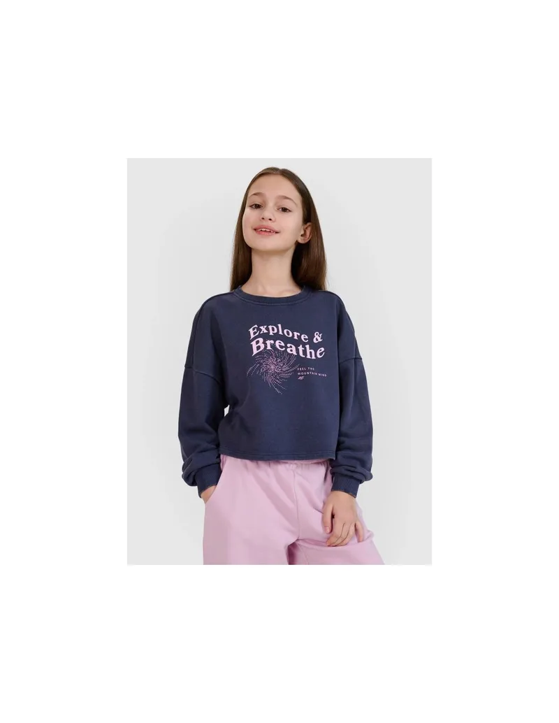 Girls' sweatshirt without a hood 4F 4FJWSS25TSWSF148322S