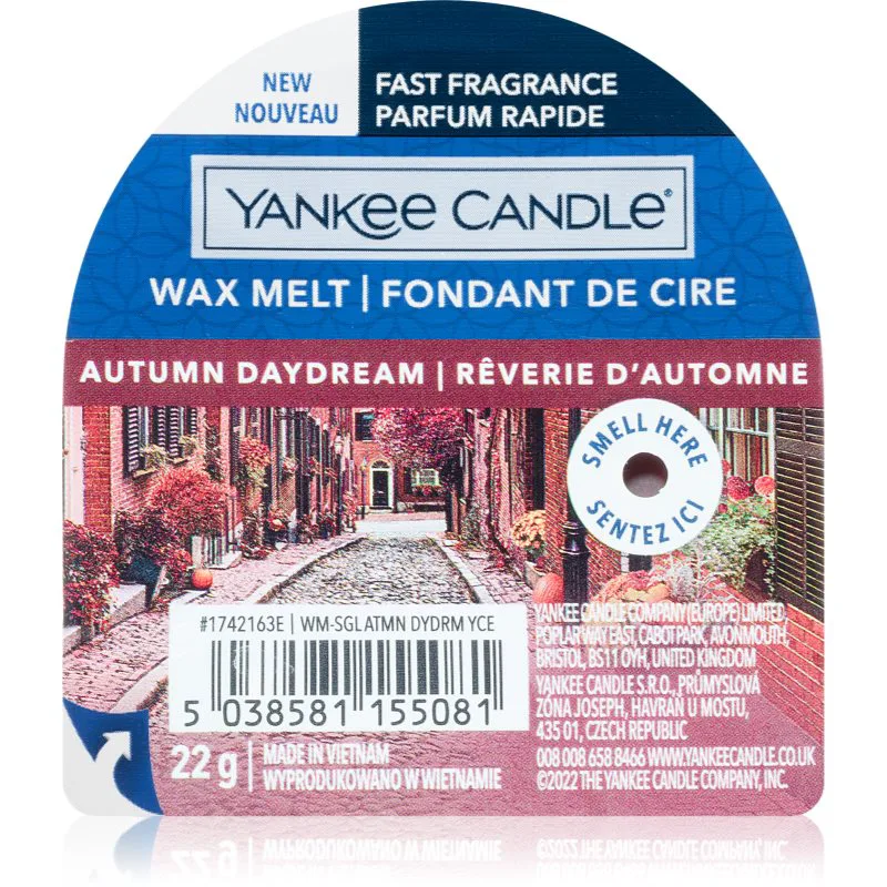 Yankee Candle Autumn Daydream κερί για αρωματική λάμπα Signature 22 γρ