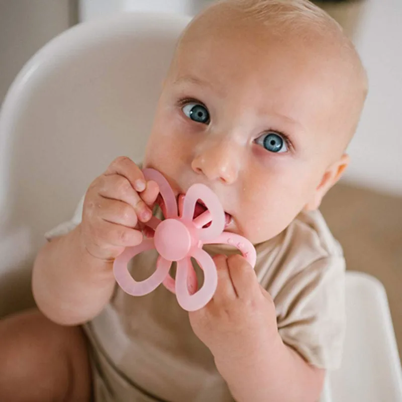 Μασητικό BabyOno Flower Ροζ BN1596/01