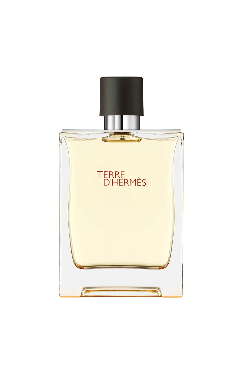 Hermès Terre d'Hermès Eau de Toilette - 107748V0