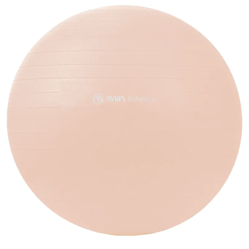 Μπάλα Γυμναστικής Estetica Gym Ball 55cm Nature