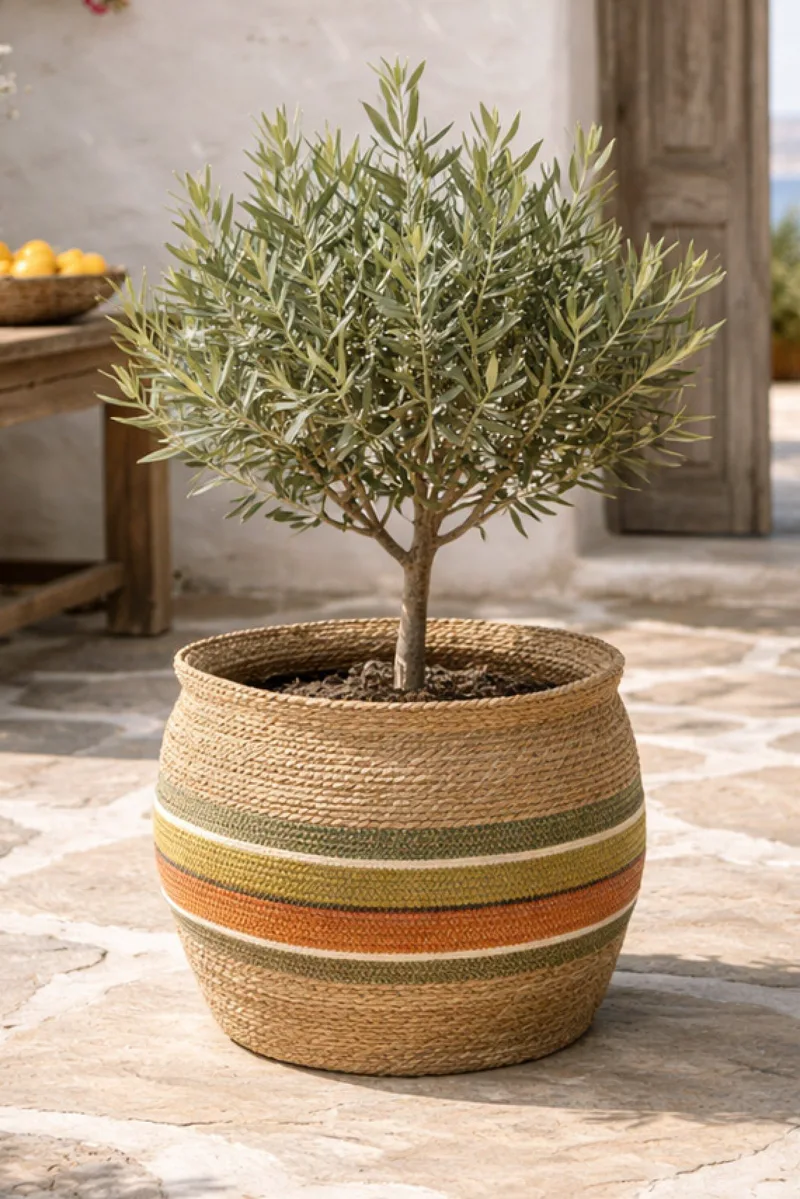 Κασπω Στρογγυλο Απο Φυκια Με Ριγε Σχεδιο 52Cm 52x52x45cm Μονόχρωμο Kaeming