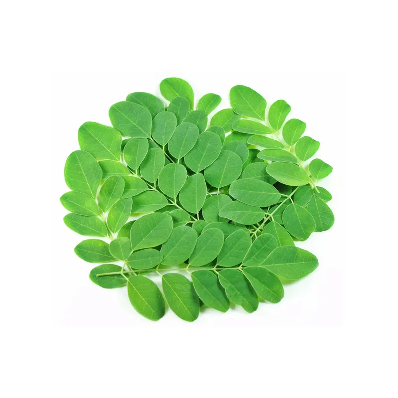 Μορίνγκα σκόνη (Moringa powder) ΒΙΟ