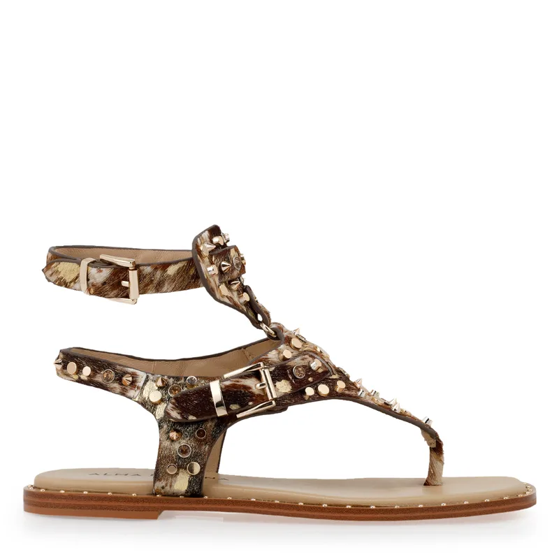 FLATS σχέδιο: W466L2081
