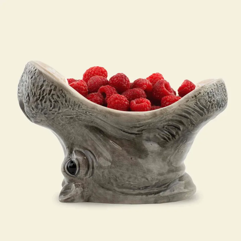 Διακοσμητικό Μπολ Hungry Hippos Γκρι