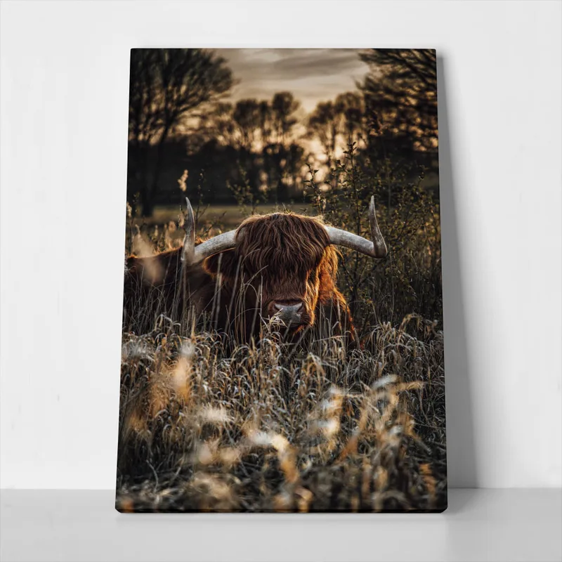 Πίνακας σε Καμβά RUSTIC FARMHOUSE COW