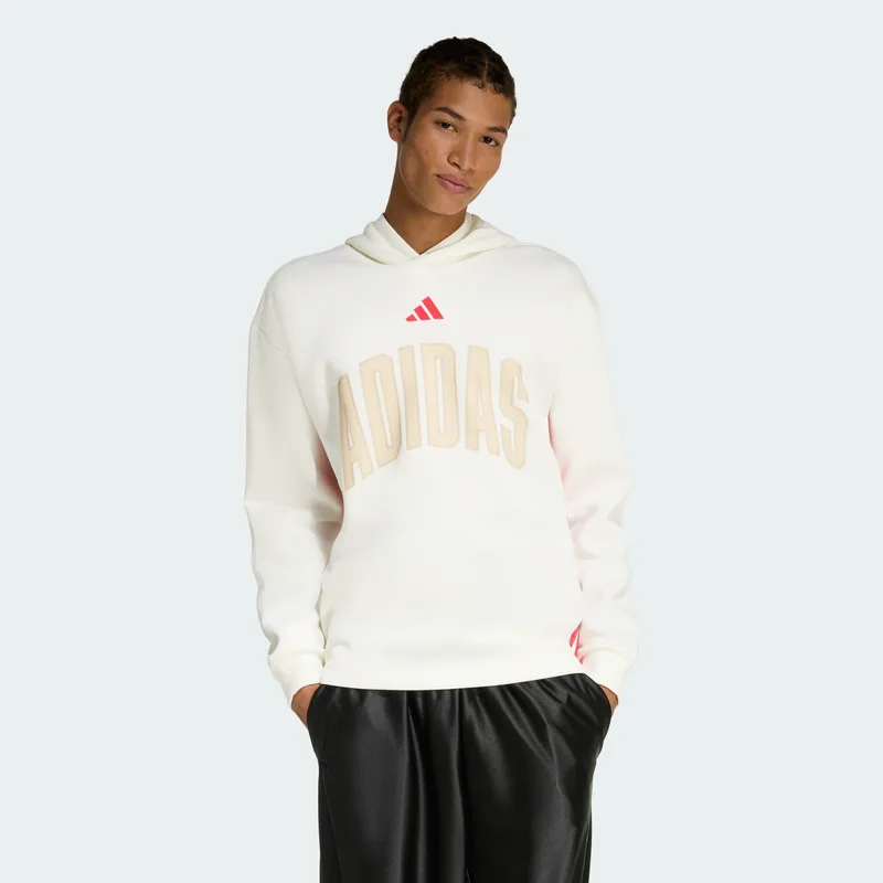 adidas sportswear M Stadium Graphic Hoodie (9000264875_91566)