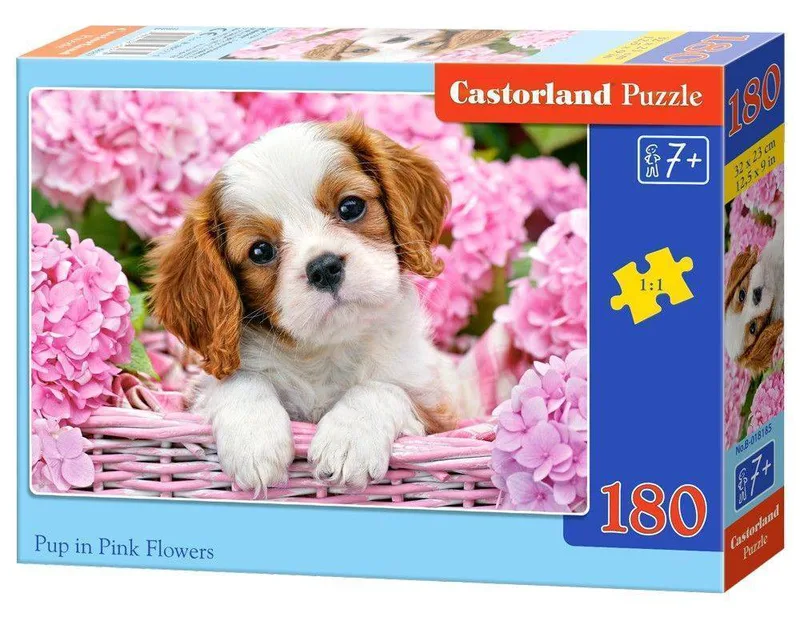 PUP IN PINK FLOWERS CASTORLAND 180 ΚΟΜΜΑΤΙΑ