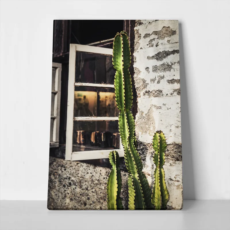 Πίνακας σε Καμβά RUSTIC FARMHOUSE CACTUS 3