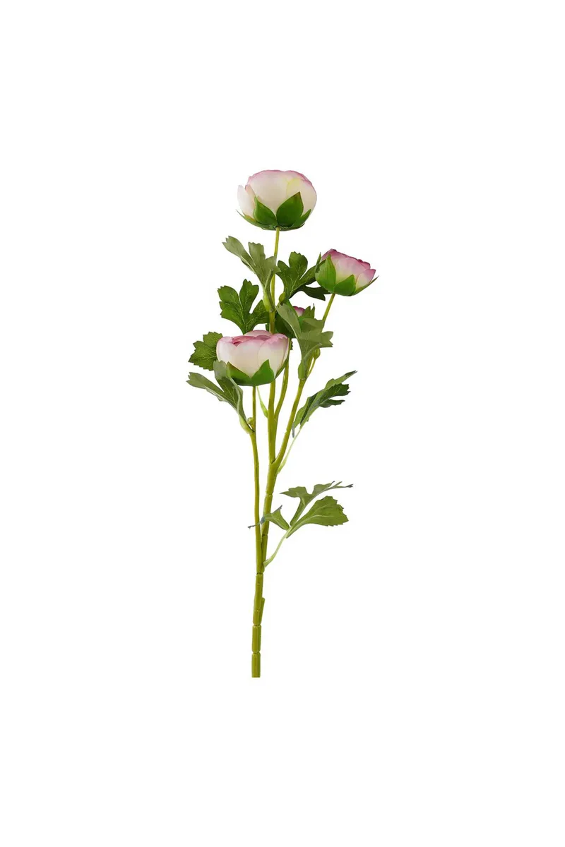 DOMUS HOMUS διακοσμητικό κλαδί νεραγκούλας 65 cm - 20-31-290