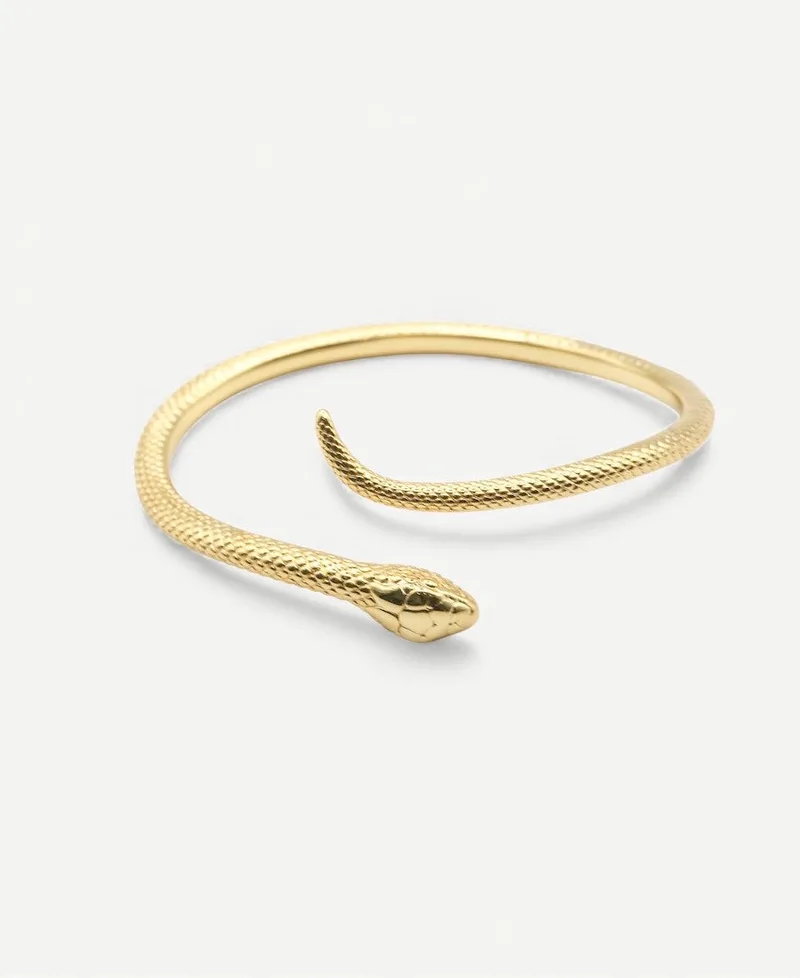 The Serpent Bangle