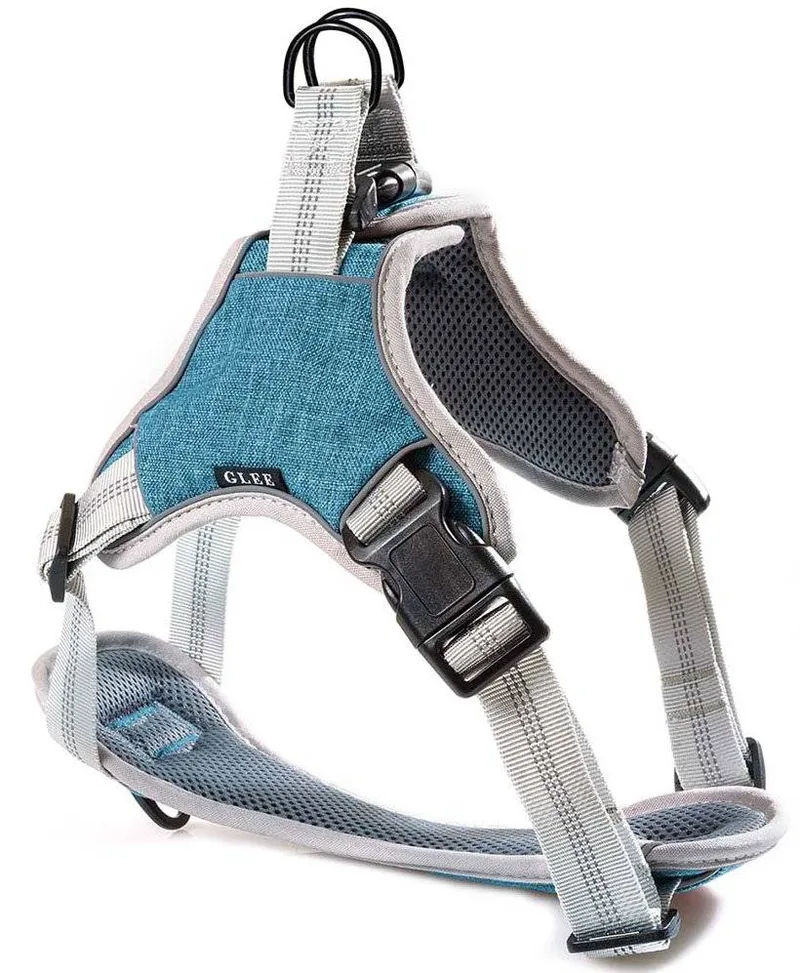 ΣΑΜΑΡΑΚΙ GLEE ΙΜΑΝΤΑ SADDLE PETROL S (49-52CM)