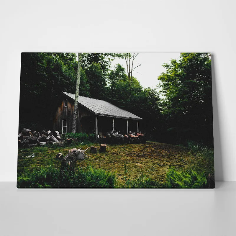 Πίνακας σε Καμβά RUSTIC FARMHOUSE FOREST CABIN 5