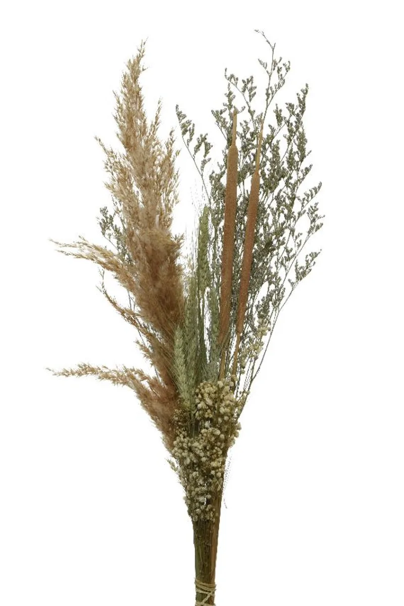 Μπουκετο Αποξηραμενο 5x12x65cm Μπεζ Kaeming