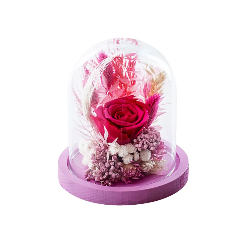 Dry Flowers Φουξ Essential 12x12cm