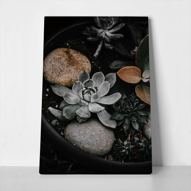 Πίνακας σε Καμβά RUSTIC FARMHOUSE PLANTS