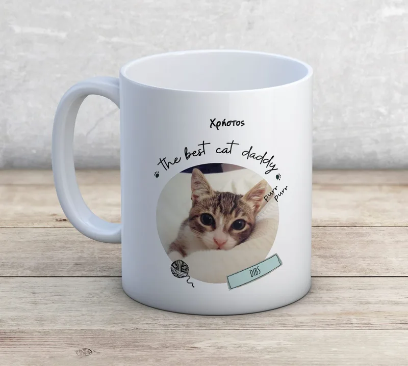 Κούπα απλή ή μαγική - The best cat daddy - Απλή