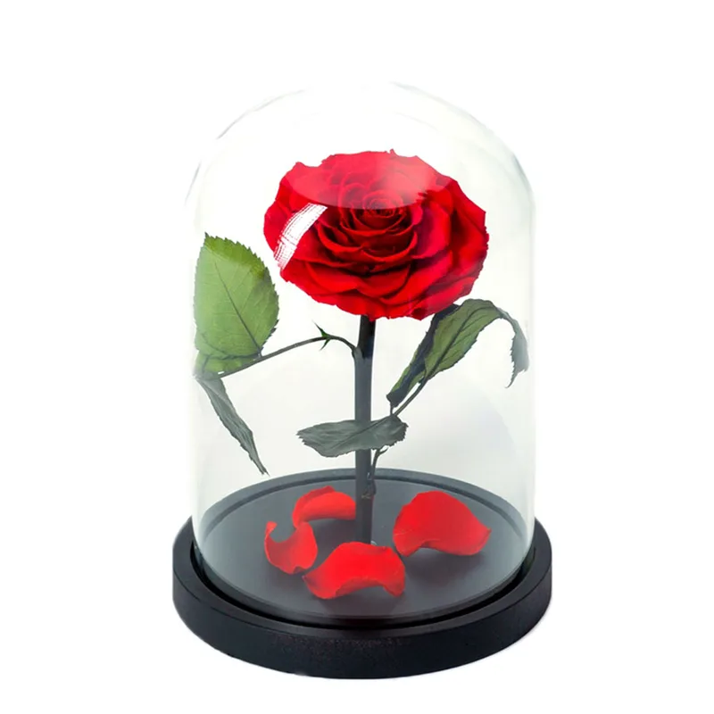 Beauty & The Beast Κόκκινο Deluxe 18x25cm