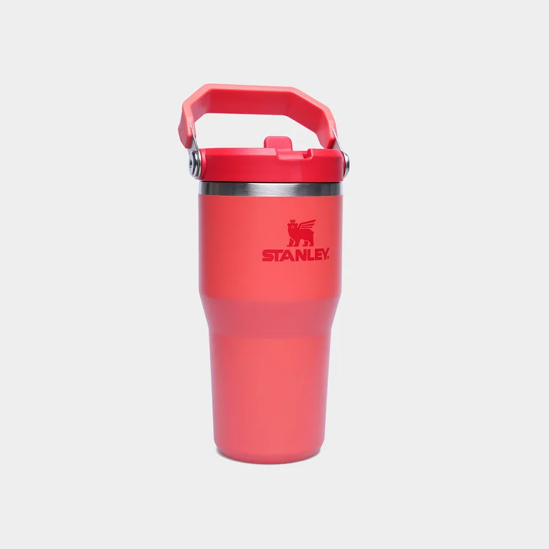 Stanley The IceFlow™ Flip Straw 2.0 Tumbler 20oz (9000257878_3074)