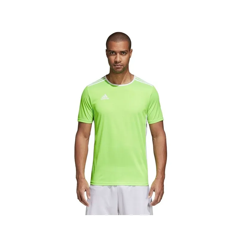 Adidas Entrada 18 Jersey Ανδρικό Αθλητικό T-shirt Κοντομάνικο Πράσινο CE9758