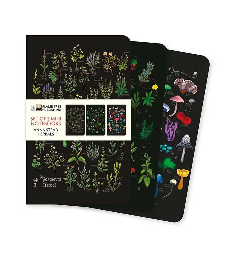 Σημειωματάριο A6 Flame Tree Anna Stead Herbals - Set of 3 Mini Notebooks