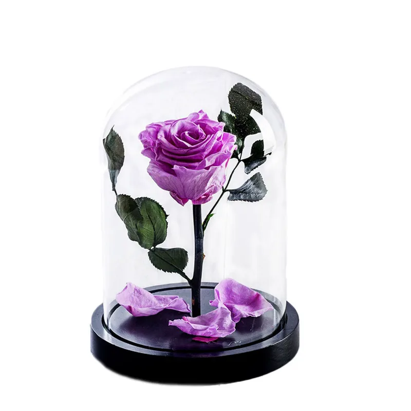 Beauty & The Beast Λιλά 12x20cm