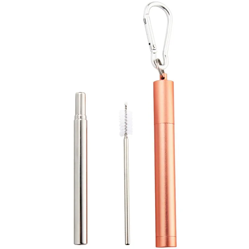 Naturalis Stainless Steel Straw Telescopic Σετ για καθημερινή χρήση
