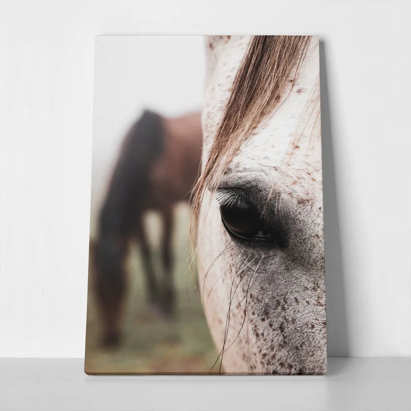 Πίνακας σε Καμβά RUSTIC FARMHOUSE HORSE EYE