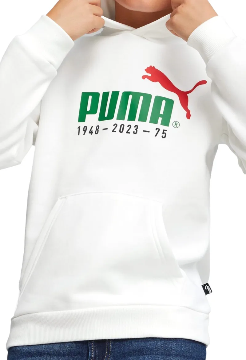 Μπλούζα Μακρυμάνικη Puma No.1 Logo Celebration Hoodie FL B 676826-02 Αγόρι