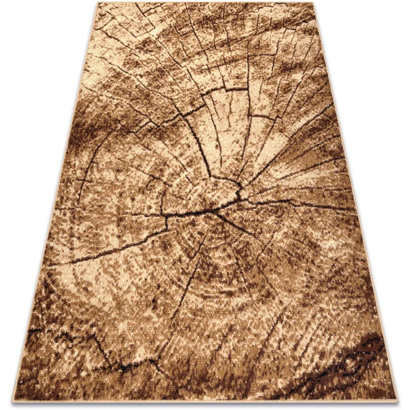 Χαλιά Rugsx Μοκέτα BCF Morad PIEŃ Ξύλο δέντρο 60x110 cm