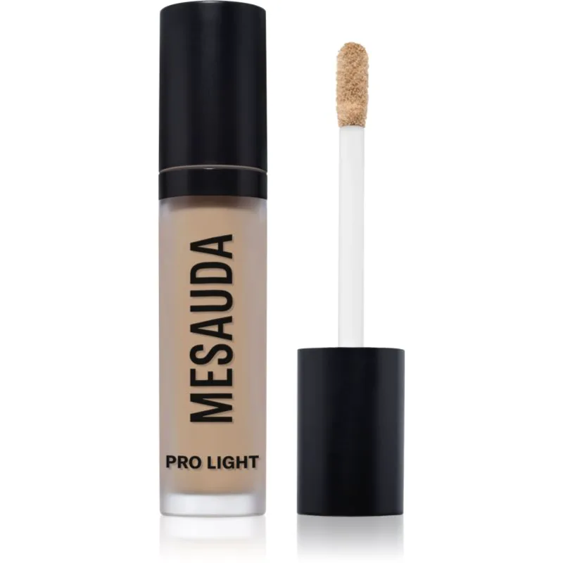 Mesauda Pro Light ενυδατικός διορθωτής απόχρωση C30 4 ml