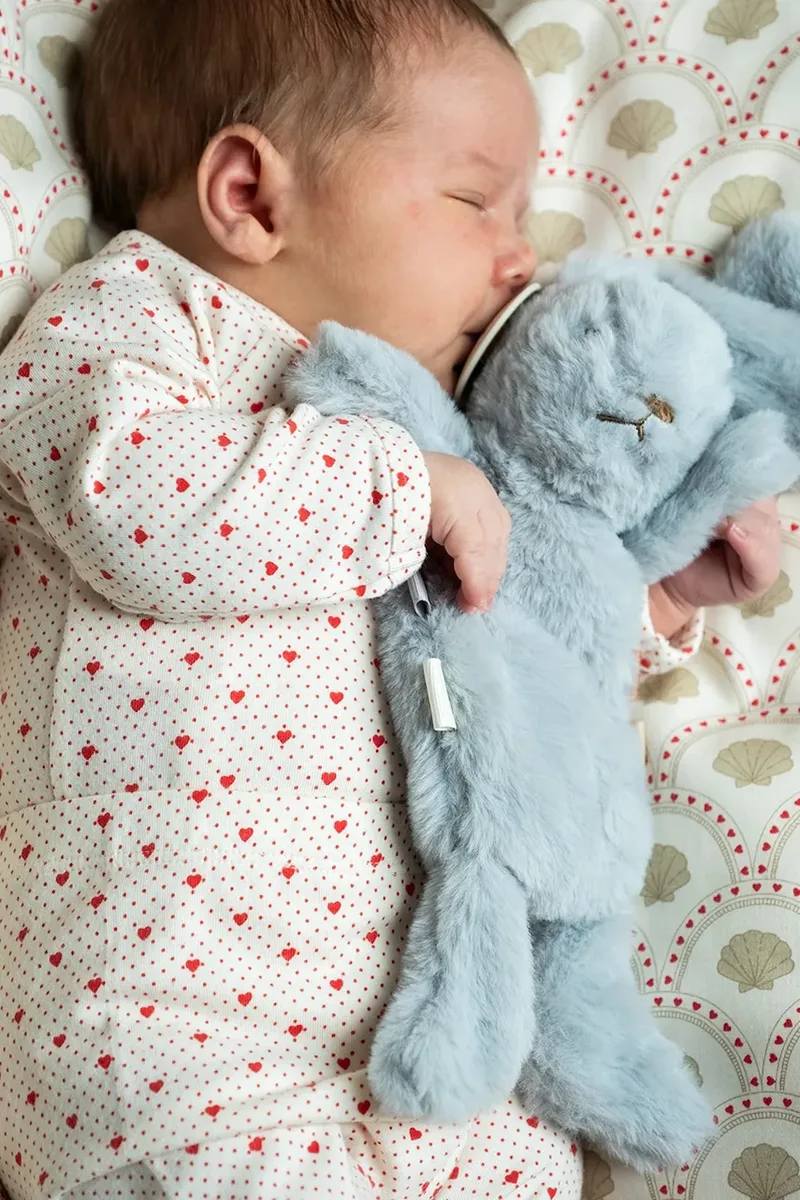 That's mine παιχνίδι αγκαλιάς βρεφικό Houston heavy teddy mini