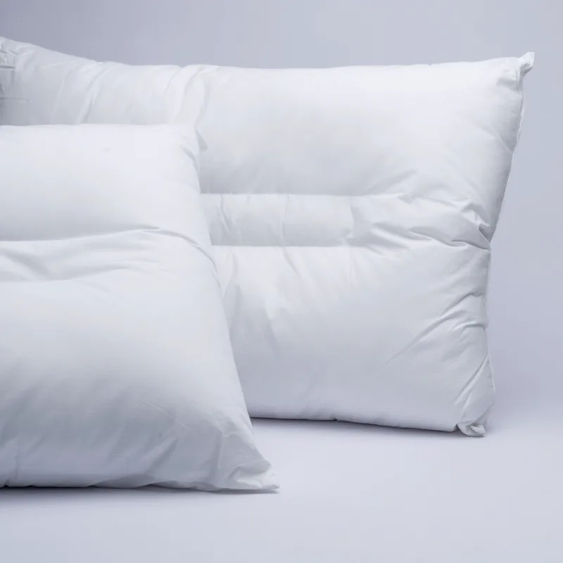 Μαξιλάρι Ύπνου Palamaiki White Comfort Anatomic-Aloe Vera 50x70