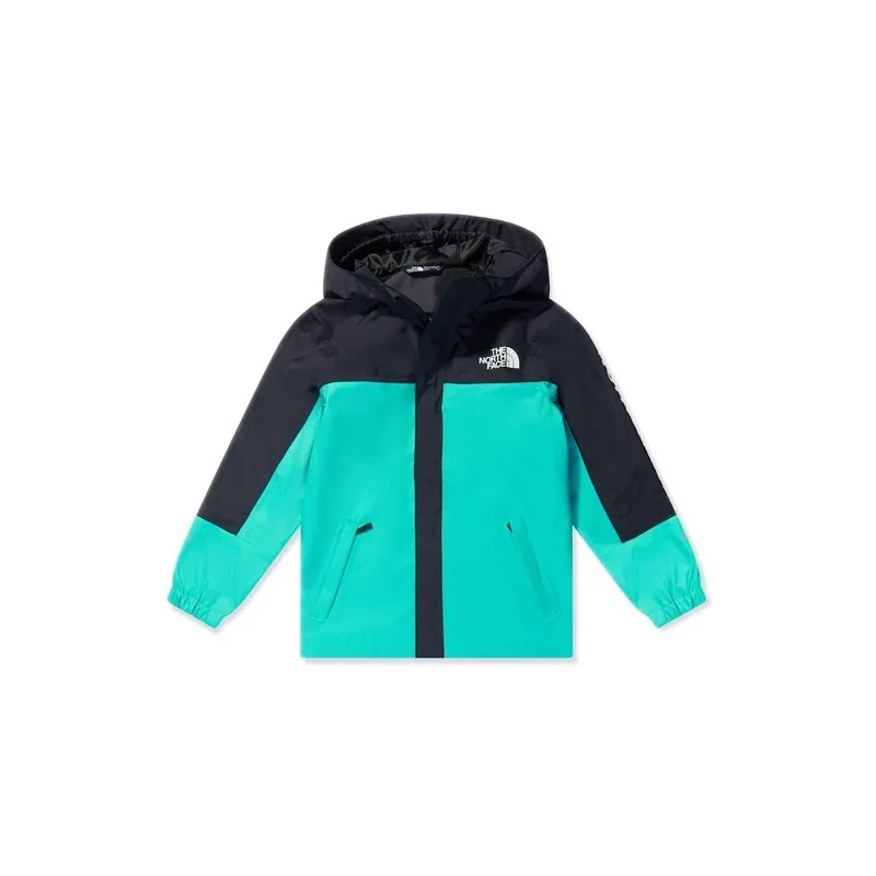 Μπουφάν The North Face NF0A8A48PIN1