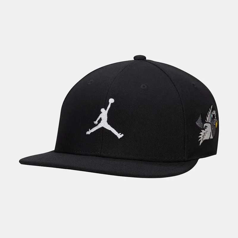 Jordan Pro Καπέλο (9000160544_8509)